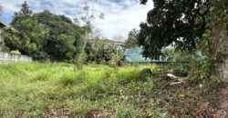 Vacant Lot for Sale in Ayala Alabang Village