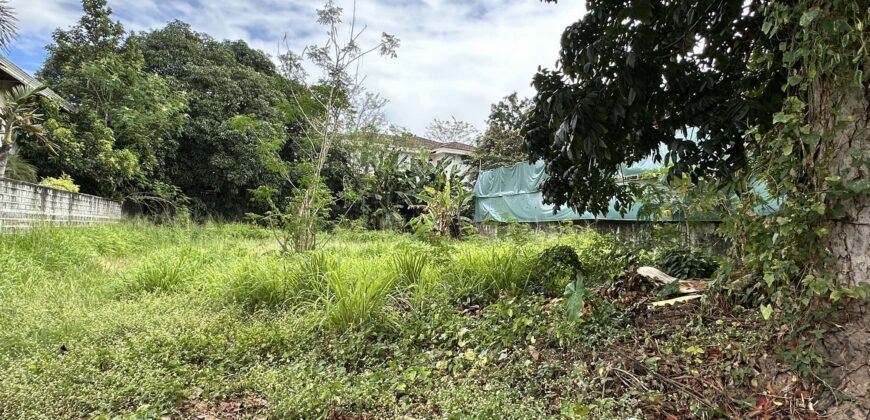 Vacant Lot for Sale in Ayala Alabang Village