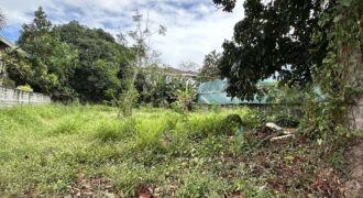 Vacant Lot for Sale in Ayala Alabang Village