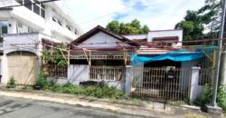 Dilapilated Property for Sale in Ayala Alabang Village