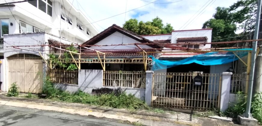 Dilapilated Property for Sale in Ayala Alabang Village