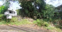 Vacant Lot for Sale in Ayala Alabang Village