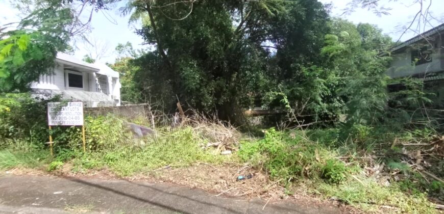 Vacant Lot for Sale in Ayala Alabang Village