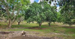 Farm Lot in Brgy. Libato, San Juan, Batangas