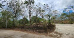 Farm Lot in Brgy. Libato, San Juan, Batangas