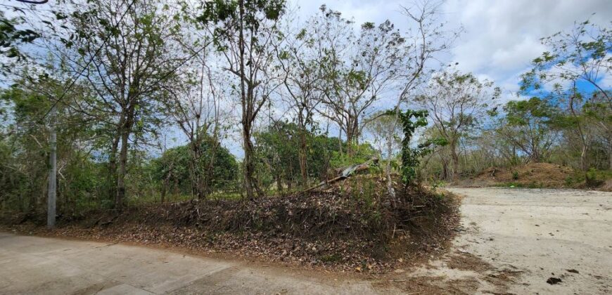 Farm Lot in Brgy. Libato, San Juan, Batangas