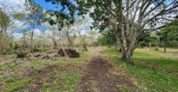 Farm Lot in Brgy. Libato, San Juan, Batangas