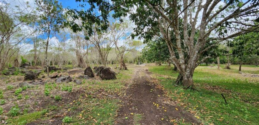 Farm Lot in Brgy. Libato, San Juan, Batangas