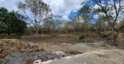 Farm Lot in Brgy. Libato, San Juan, Batangas