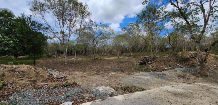 Farm Lot in Brgy. Libato, San Juan, Batangas