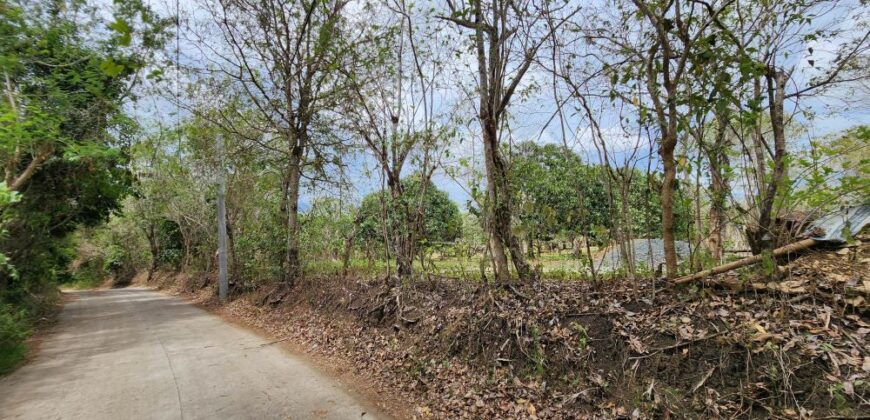 Farm Lot in Brgy. Libato, San Juan, Batangas