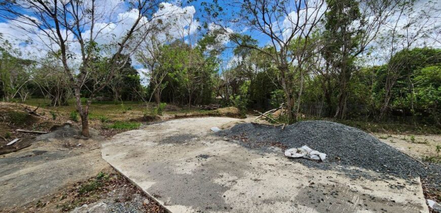 Farm Lot in Brgy. Libato, San Juan, Batangas