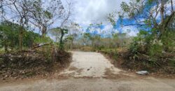 Farm Lot in Brgy. Libato, San Juan, Batangas