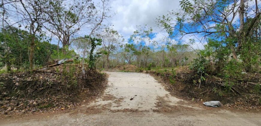 Farm Lot in Brgy. Libato, San Juan, Batangas