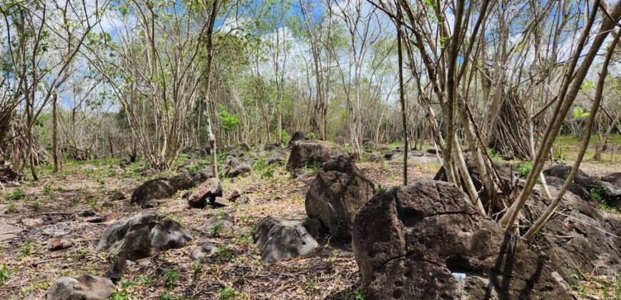 Farm Lot in Brgy. Libato, San Juan, Batangas